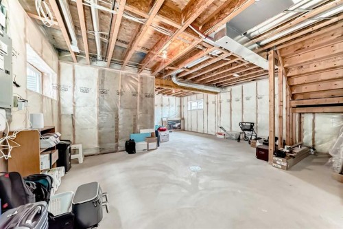 301 Kincora Glen Rise Nw, Calgary, AB - Indoor Photo Showing Basement