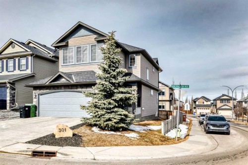 301 Kincora Glen Rise Nw, Calgary, AB - Outdoor