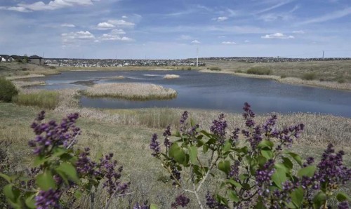 301 Kincora Glen Rise Nw, Calgary, AB - Outdoor With Body Of Water With View