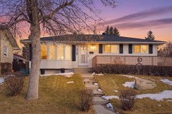 336 Whiteview Close NE Calgary, AB T1Y 1R3