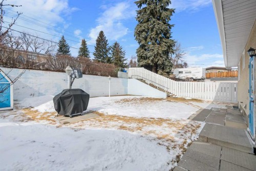 5039 Nemiskam Road Nw, Calgary, AB - Outdoor