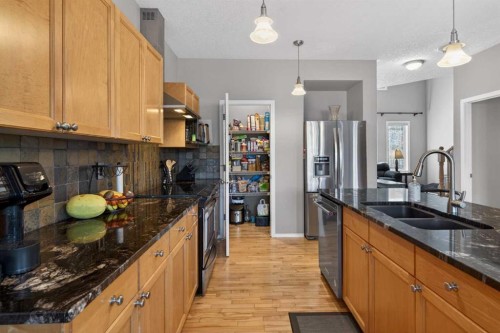 389 Elgin Way Se, Calgary, AB - Indoor Photo Showing Kitchen With Stainless Steel Kitchen With Double Sink With Upgraded Kitchen