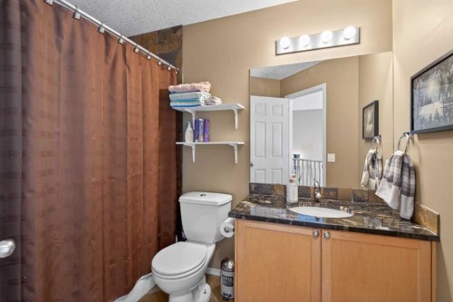 389 Elgin Way Se, Calgary, AB - Indoor Photo Showing Bathroom