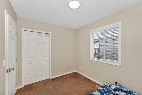 246 Saddlebrook Way Ne, Calgary, AB - Indoor