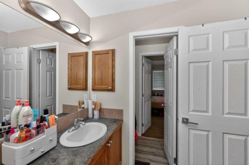 246 Saddlebrook Way Ne, Calgary, AB - Indoor Photo Showing Bathroom