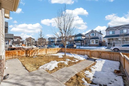 246 Saddlebrook Way Ne, Calgary, AB - Outdoor