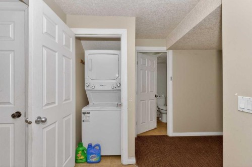 246 Saddlebrook Way Ne, Calgary, AB - Indoor Photo Showing Laundry Room