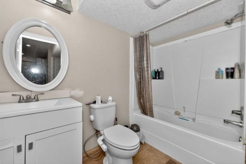 246 Saddlebrook Way Ne, Calgary, AB - Indoor Photo Showing Bathroom