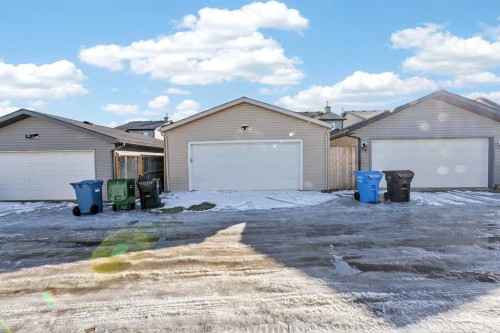 246 Saddlebrook Way Ne, Calgary, AB - Outdoor