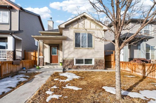 246 Saddlebrook Way Ne, Calgary, AB - Outdoor With Facade