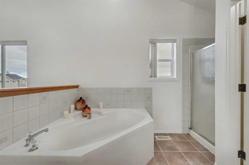 12 Tarawood Grove Ne, Calgary, AB - Indoor Photo Showing Bathroom