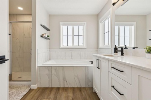 103 Saddlebred Link, Cochrane, AB - Indoor Photo Showing Bathroom