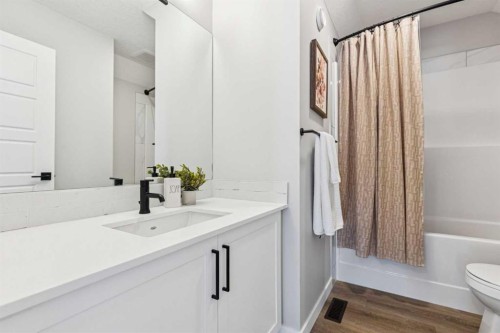 103 Saddlebred Link, Cochrane, AB - Indoor Photo Showing Bathroom