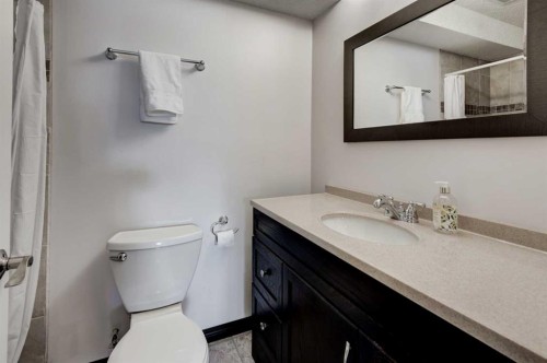 58 Elgin Meadows Gardens Se, Calgary, AB - Indoor Photo Showing Bathroom
