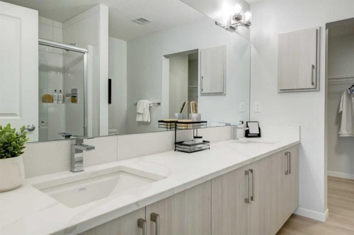 2111-20295 Seton Way Se, Calgary, AB - Indoor Photo Showing Bathroom