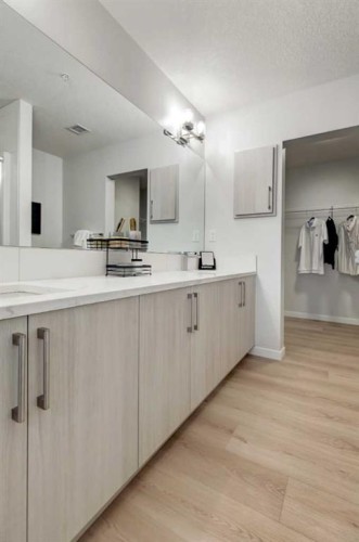 2111-20295 Seton Way Se, Calgary, AB - Indoor Photo Showing Bathroom