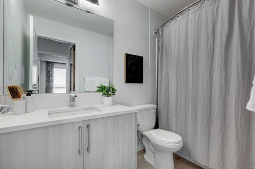 2111-20295 Seton Way Se, Calgary, AB - Indoor Photo Showing Bathroom
