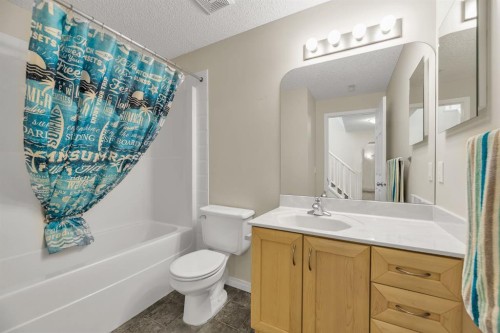 151 Hawkmere View, Chestermere, AB - Indoor Photo Showing Bathroom