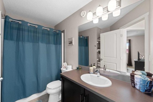 78 Livingston Gate Ne, Calgary, AB - Indoor Photo Showing Bathroom