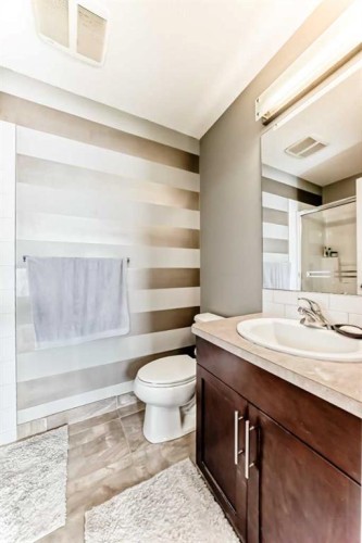 5 Redstone Circle Ne, Calgary, AB - Indoor Photo Showing Bathroom