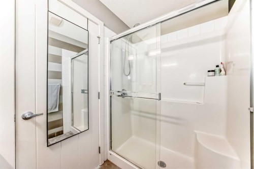 5 Redstone Circle Ne, Calgary, AB - Indoor Photo Showing Bathroom