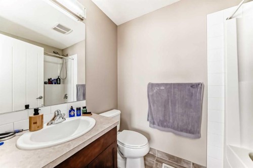 5 Redstone Circle Ne, Calgary, AB - Indoor Photo Showing Bathroom