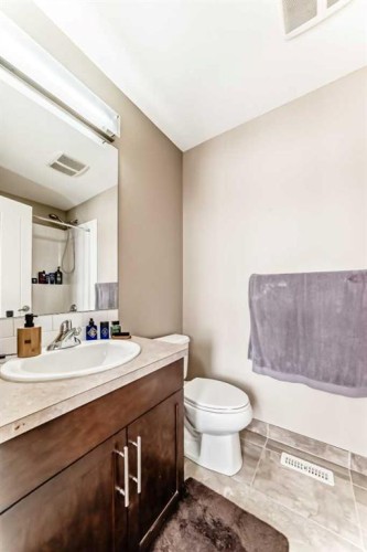 5 Redstone Circle Ne, Calgary, AB - Indoor Photo Showing Bathroom