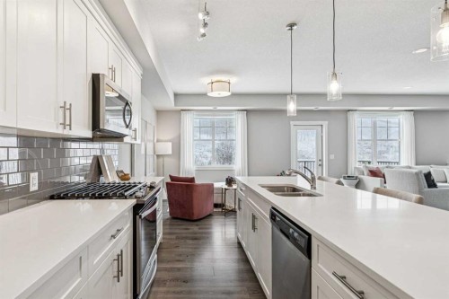 718 Cranbrook Walk Se, Calgary, AB - Indoor Photo Showing Kitchen With Double Sink With Upgraded Kitchen