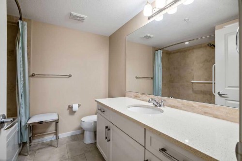 2202-310 Mckenzie Towne Gate Se, Calgary, AB - Indoor Photo Showing Bathroom