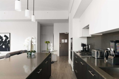 1803-730 2 Avenue Sw, Calgary, AB - Indoor Photo Showing Kitchen With Upgraded Kitchen