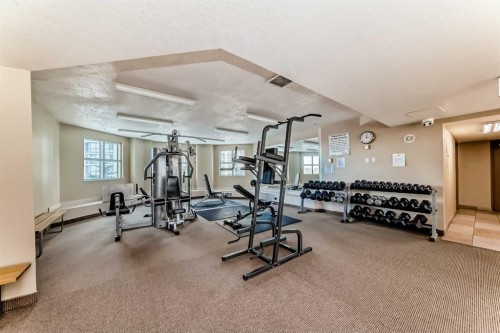 306-1121 6 Avenue Sw, Calgary, AB - Indoor Photo Showing Gym Room