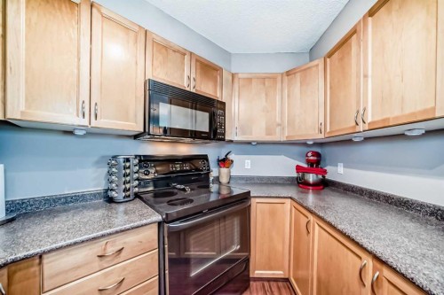 306-1121 6 Avenue Sw, Calgary, AB - Indoor Photo Showing Kitchen