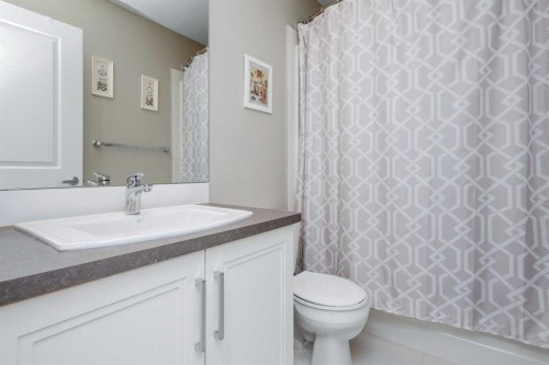 100 Copperstone Villas Se, Calgary, AB - Indoor Photo Showing Bathroom