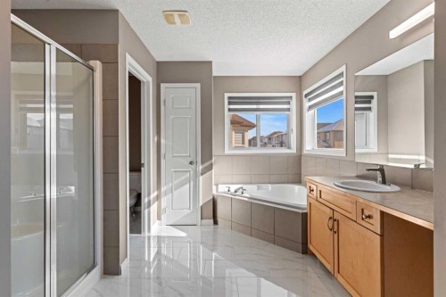 138 Saddlecrest Park Ne, Calgary, AB - Indoor Photo Showing Bathroom