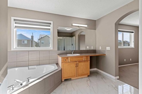 138 Saddlecrest Park Ne, Calgary, AB - Indoor Photo Showing Bathroom