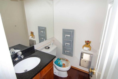 47 Anaheim Crescent, Calgary, AB - Indoor Photo Showing Bathroom