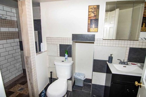 47 Anaheim Crescent, Calgary, AB - Indoor Photo Showing Bathroom