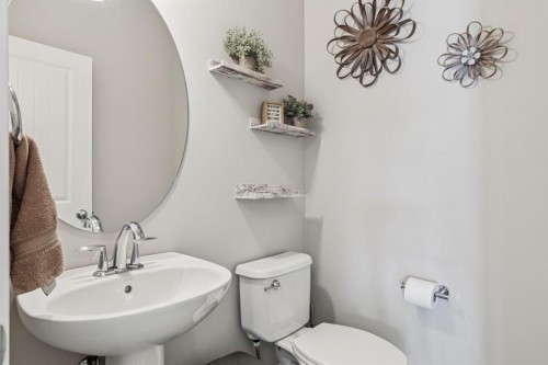 259 Canals Close Sw, Airdrie, AB - Indoor Photo Showing Bathroom