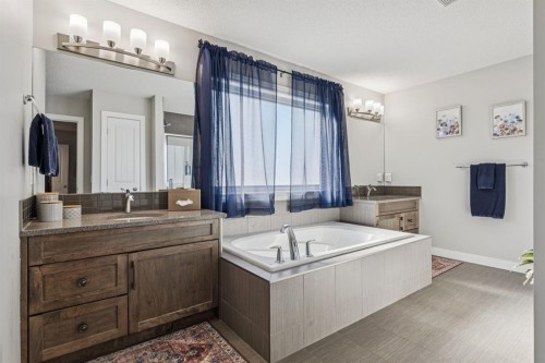 259 Canals Close Sw, Airdrie, AB - Indoor Photo Showing Bathroom