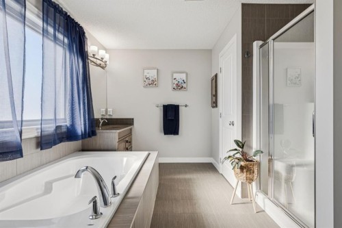 259 Canals Close Sw, Airdrie, AB - Indoor Photo Showing Bathroom