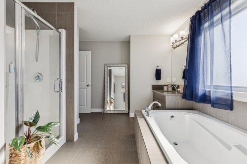 259 Canals Close Sw, Airdrie, AB - Indoor Photo Showing Bathroom