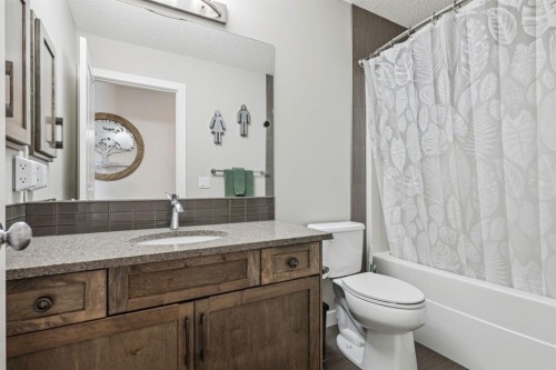 259 Canals Close Sw, Airdrie, AB - Indoor Photo Showing Bathroom