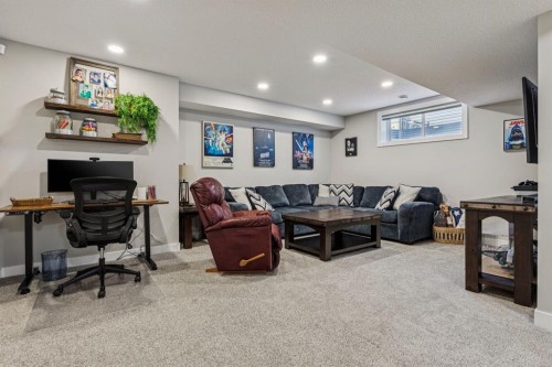 259 Canals Close Sw, Airdrie, AB - Indoor Photo Showing Basement