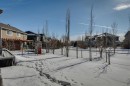 259 Canals Close Sw, Airdrie, AB  - Outdoor 