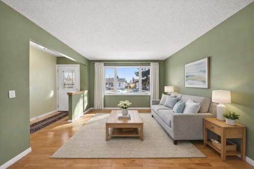 215 Pinegrove Close Ne, Calgary, AB - Indoor Photo Showing Living Room