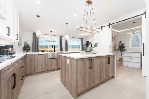 524 Waterford Grove, Chestermere, AB - Indoor Photo Showing Kitchen With Upgraded Kitchen