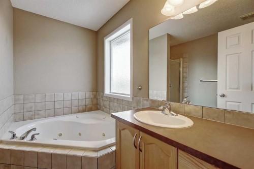 156 Copperfield Rise Se, Calgary, AB - Indoor Photo Showing Bathroom