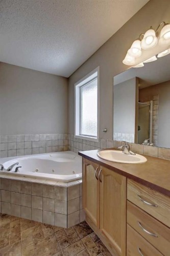 156 Copperfield Rise Se, Calgary, AB - Indoor Photo Showing Bathroom