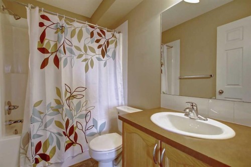 156 Copperfield Rise Se, Calgary, AB - Indoor Photo Showing Bathroom