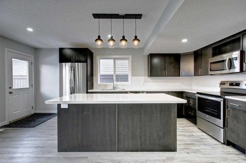 156 Copperfield Rise Se, Calgary, AB - Indoor Photo Showing Kitchen With Stainless Steel Kitchen With Upgraded Kitchen